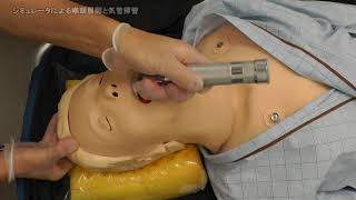シミュレータによる喉頭展開と気管挿管