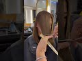 Long Bob W/ Full Color & Hair Botox Treatment. #hecktorsalon