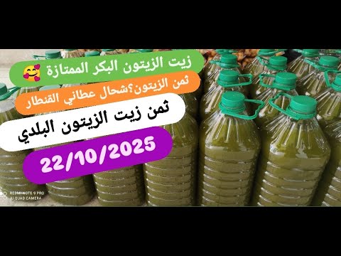 موسم الزيتون زيت الزيتون البكر الممتازة 22 10 2025 بشحال شريت الزيتون شحال عطاني القنطار الجودة