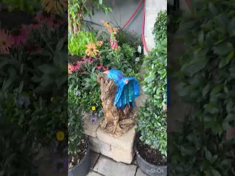 Forest Muttart Conservatory Edmonton Alberta