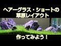 【チャーム】ヘアーグラス・ショート植え方 Eleocharis parvula水中草原レイアウト作ってみよう!