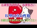 【B型の真の性格】血液型あるある・血液型占い。B型と接するために知っておくこと!