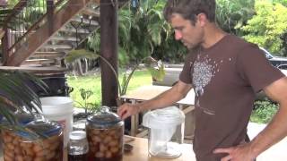 Download Lagu Noni Preparation MP3