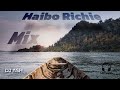 MP Rec. - Haibo Richie Mix 2024