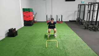 Hurdle Tuck Jumps w Pause