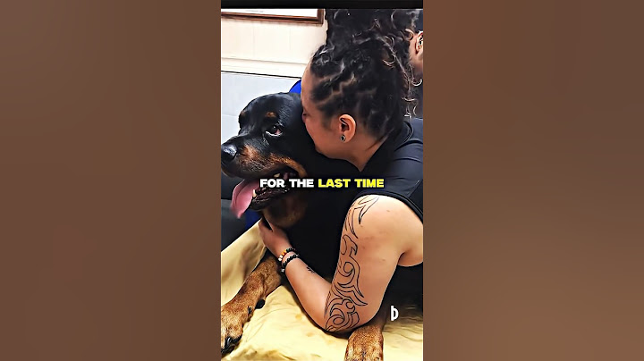 Her Final Goodbye To Her Dog 💔
