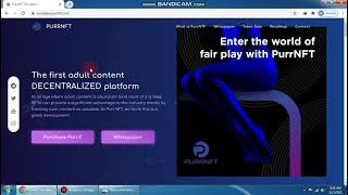 PURRNFT is great and wonderful concept project.