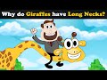 Why Do Giraffes Have Long Necks More Videos Aumsum Kids Science Education Whatif 