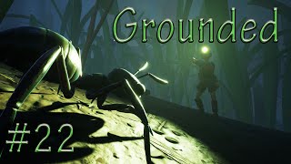 The Elusive Obsidian Soldier (Grounded) #22