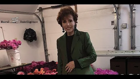 Rural We Live: Conversation with Debra Kaye, Owner...