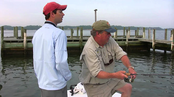 Bay Fly Fishing in Mathews County