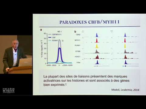 Vidéo: Augmentation De La Signalisation Wnt Et Notch: Un Indice De La Maladie Rénale Dans La Dysplasie Immuno-osseuse De Schimke?