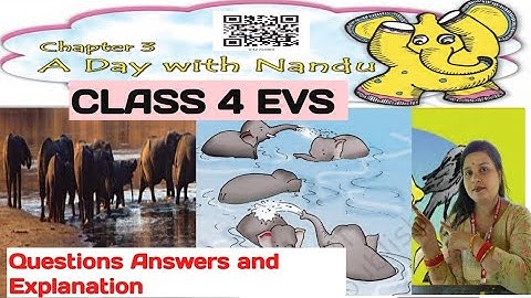 A day with Nandu Class 4 EVS Chapter 3  NCERT Question Answer and Explanation