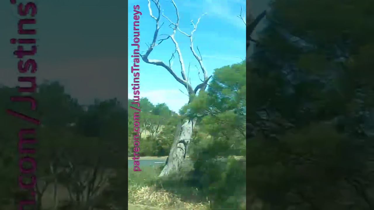 Steamrails Streamliners From Warragul To Newport 240125 #Warragul #Steamrail #Travel #Trains