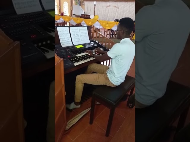 Hiki ni Chakula cha Mbingu|Fr. D Ntapambata||Franc Organist class=