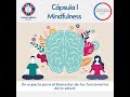 Capsula 1  Mindfulness