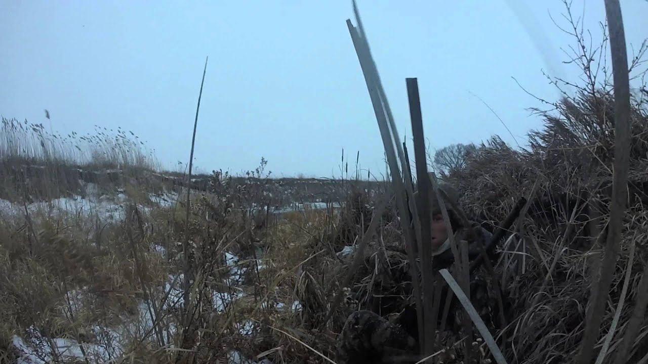 Nebraska Waterfowl Hunting 