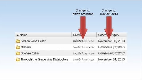 Global Edits in Maximizer CRM