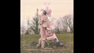 Rubblebucket - Morning In The Sun