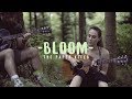 Bloom  the paper kites live acoustic cover feat silayne