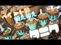 【ペイント鉢】多肉植物を植え替え【リメイク鉢】