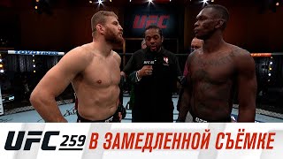 UFC 259: В замедленной съемке