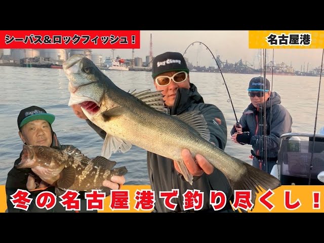 Sea bass and rockfish! Fishing at Nagoya Port in winter! [Fishing