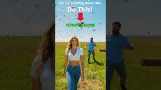 Horse Flies Gone Wild on the Farm! How to Get Rid of Them