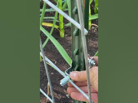 How to Install Livestock Panel Connectors// One Man Fencing // Bog Life