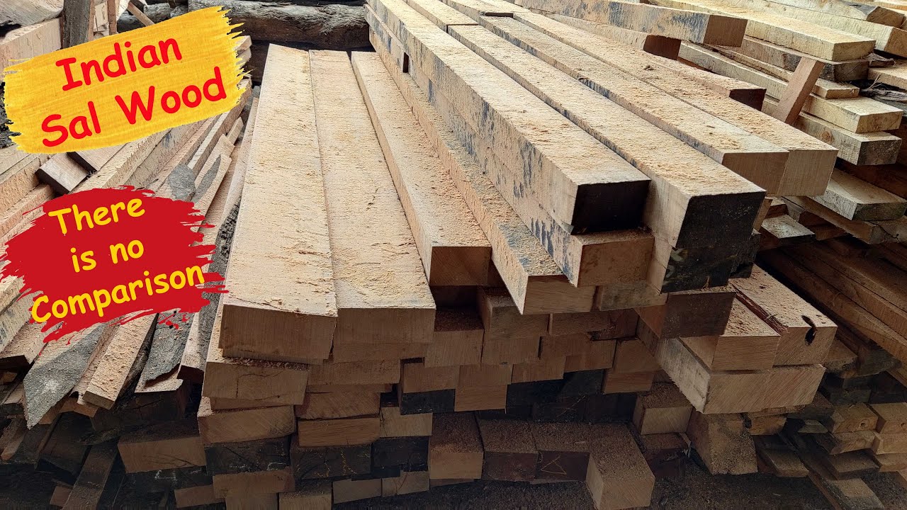 Sal Wood Sawing II Best Quality Indian Sal Wood YouTube