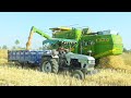 Hind 999 Harver cutting wheat crop | Eicher 485 Tractor | Massey Ferguson 241 Tractor