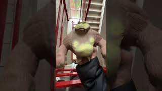 Monkey aspetta un piccolo scimmione 🙊 #mrmonkey #monkey #scimmia