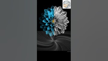 القرآن الكريم | سورة يوسف | القارئ إسلام صبحي | تلآوة خاشعة جميلة جدآ😌❤ | حالات واتس اب