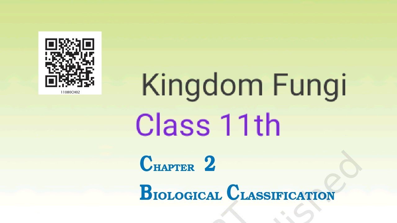 Class 11 Chapter 2 Biological Classification Kingdom Fungi Part 4