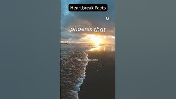 Broken Heart Facts | Understanding the Science and Emotions Behind Heartbreak #shorts #youtubeshorts