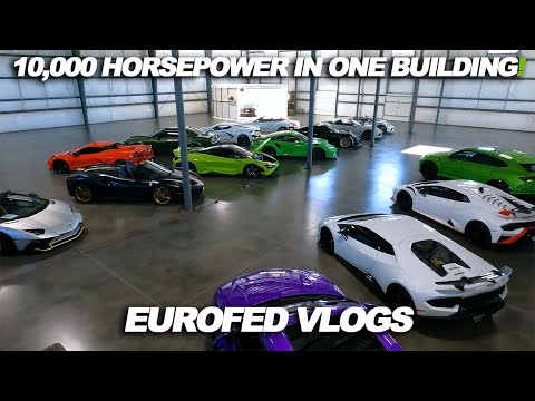 European Auto Repair in FL, GA, NC, and TX | Eurofed Automotive