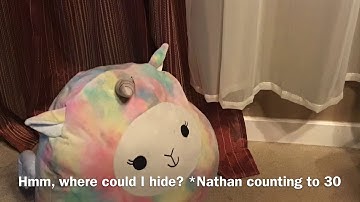 The Squishmallows Show Season 1, Episode 6 Hide and Seek