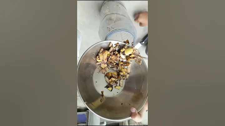 Fast & Easy Banana Peel Fertilizer in 12 Hours