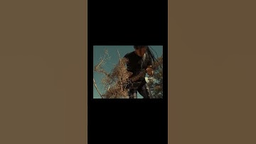 Thumbnail of “Click Click Boom” live with Saliva in the middle of the mayhem on Sunday, Aug. 3?