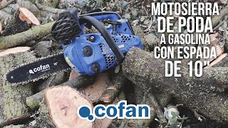Motosierra de Poda Gasolina 25,4 cc 🪵​ | Potencia, Sistema Antivibración y Espada de 10"