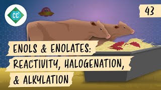 Enols and Enolates - Reactivity, Halogenation, and Alkylation: Crash Course Organic Chemistry #43 screenshot 3