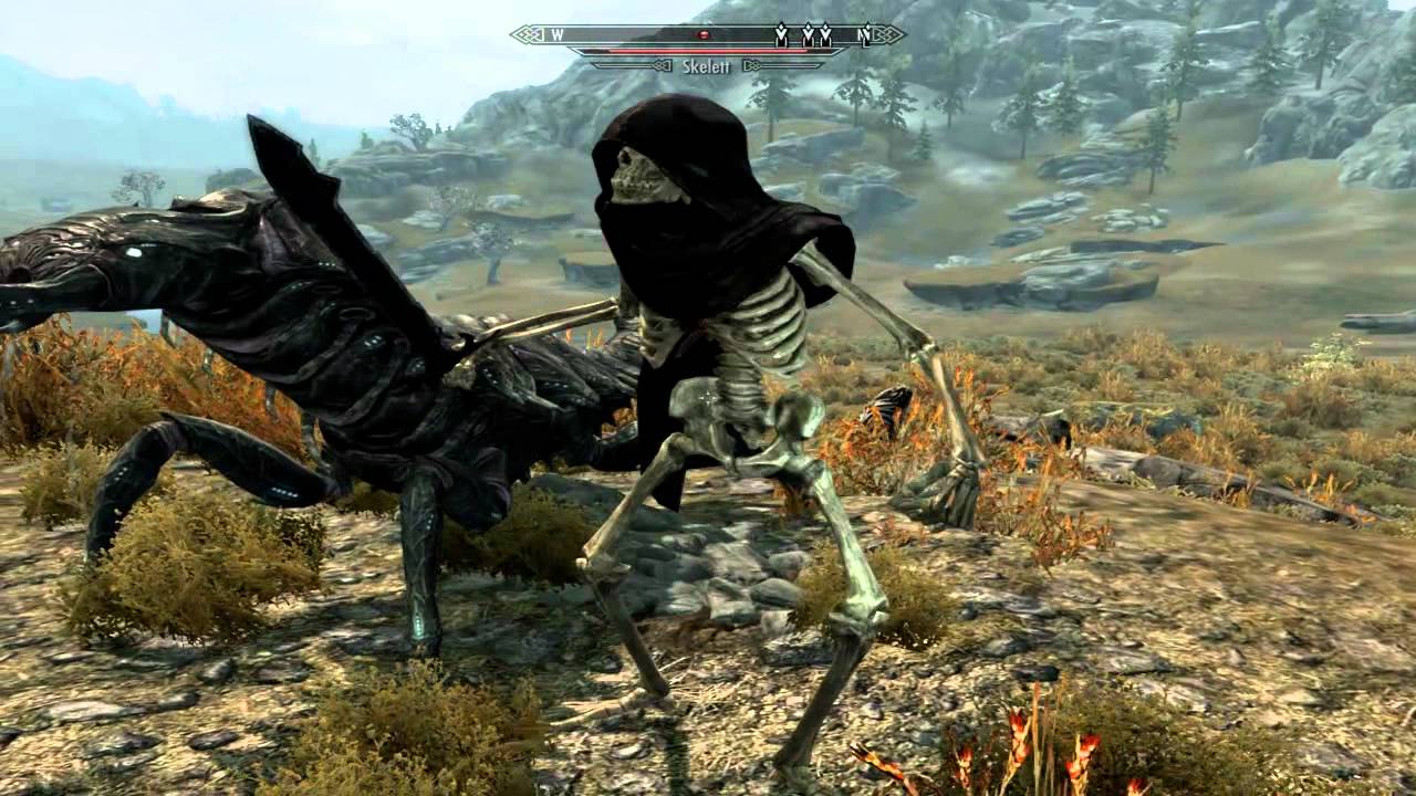 Skyrim Mod More Followers Skyrim Mod More Followers