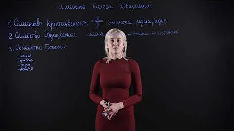 Биология 6 класс: Семейства класса двудольных