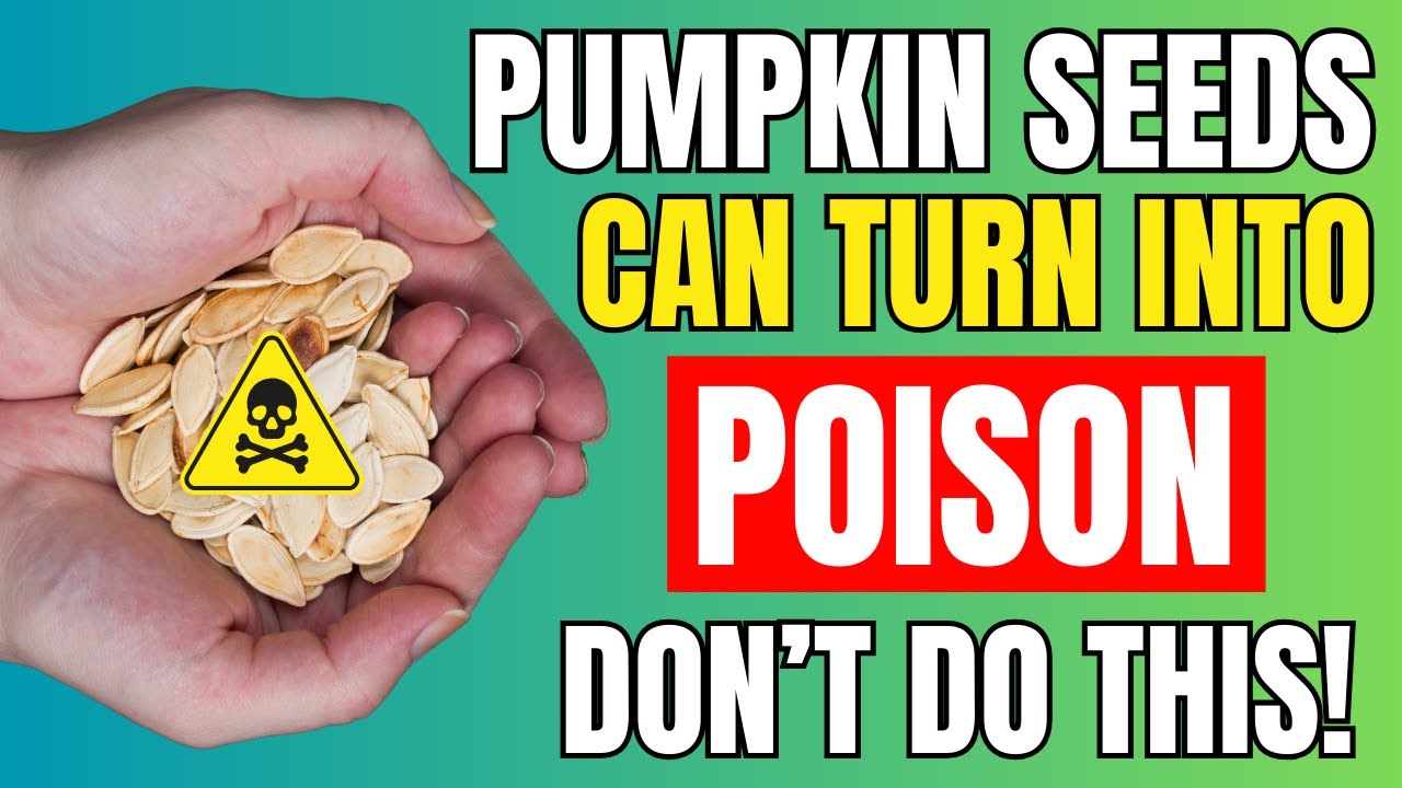 Stop Now! These 8 Pumpkin Seeds Mistake Can Be Poisonous. - YouTube