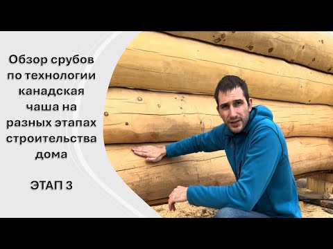 Обзор сруба из