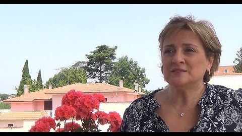 Geoethical issues and geoethical dilemmas (by Silvia Peppoloni)