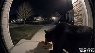 Package thief caught on camera