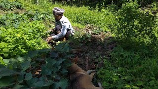 Berkebun harus santai dan tenang