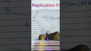 DNA replication Part -3 #shortsfeed #shortvideo #shorts