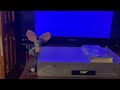 Opening To Rubbadubbers High Noon In The Bathroom 2004 VHS 